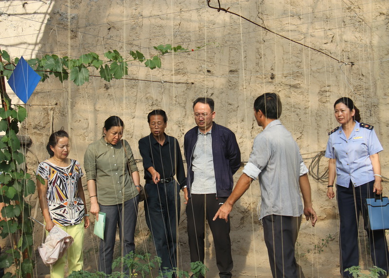 1504860885335002.jpg IMG_7504_副本.jpg